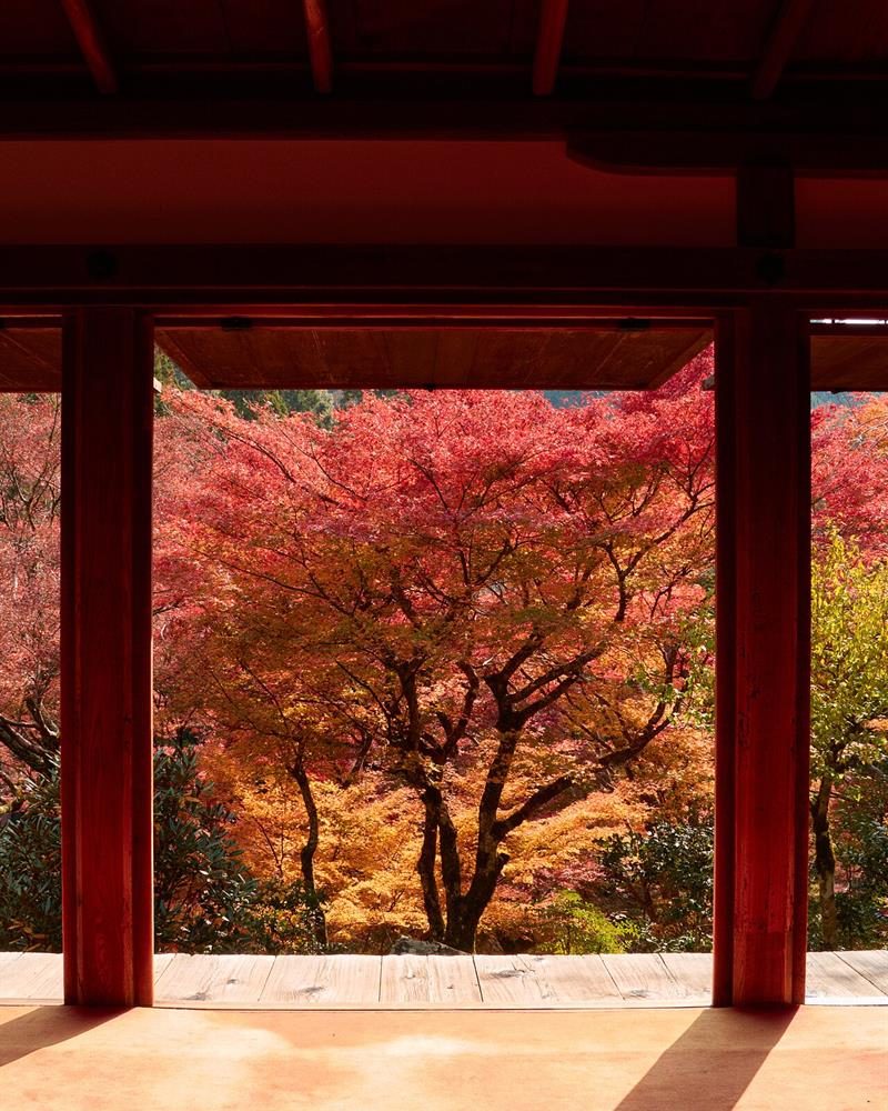 Sonbaharu0131n renkleri: Kyoto'dan kareler 2