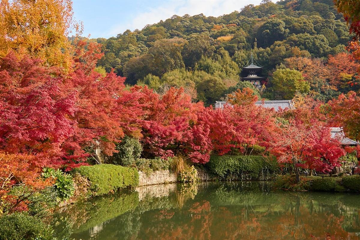 Sonbaharu0131n renkleri: Kyoto'dan kareler 4