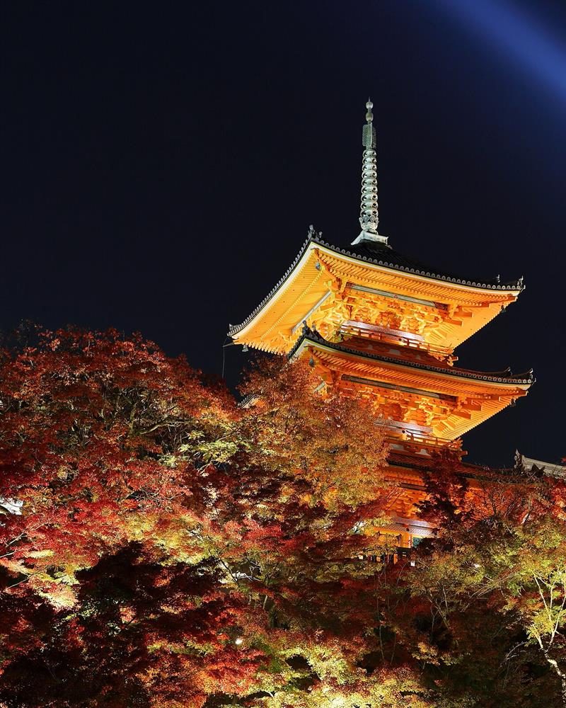 Sonbaharu0131n renkleri: Kyoto'dan kareler 5