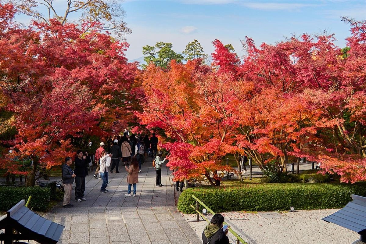 Sonbaharu0131n renkleri: Kyoto'dan kareler 7